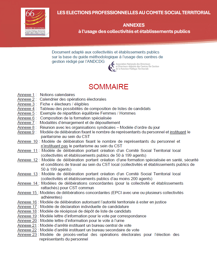 Annexe election professionnelle